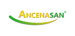Ancenasan-Logo