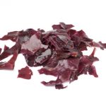 eingeweichte Dulse-Algen